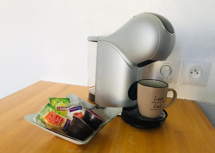 Renove - Wifi - 3 Min Gare - 15min Plages - Centre Περπινιάν